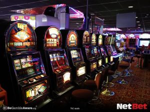 2hbra|Bingo Online – Jogue Sem Risco no Cassino Moderno